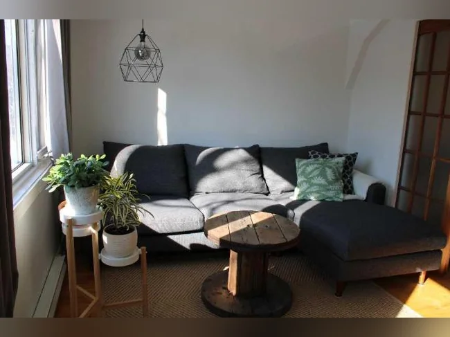 logement 3 1/2
