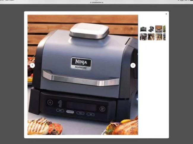 Barbecue Ninja fumoir Air fryer avec support