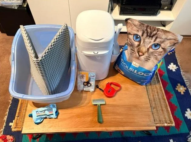 Kit de départ pour un '' Minet''