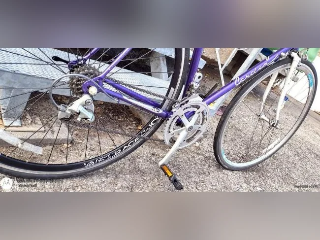Velo Gardin Vintage (L) thumbnail 2