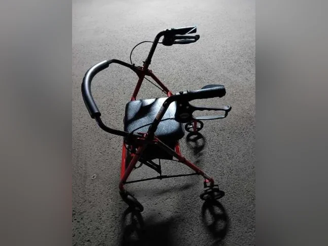 Ambulateur