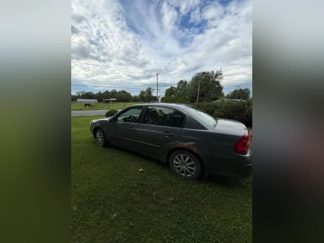 Chevrolet Malibu thumbnail 2