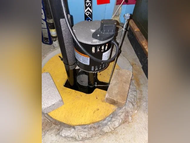 Pompe de puisard (Sump pump) sur pied 1/3 HP thumbnail 5