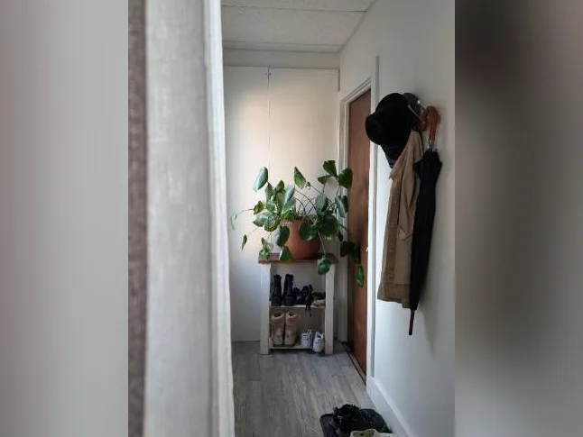 Logement 1 chambre et 1 salle de bain- animaux acceptés