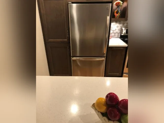 Refrigérateur 19pi.cu.