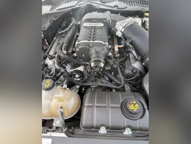 Mustang GT premium equivalent à GT 350 thumbnail 2