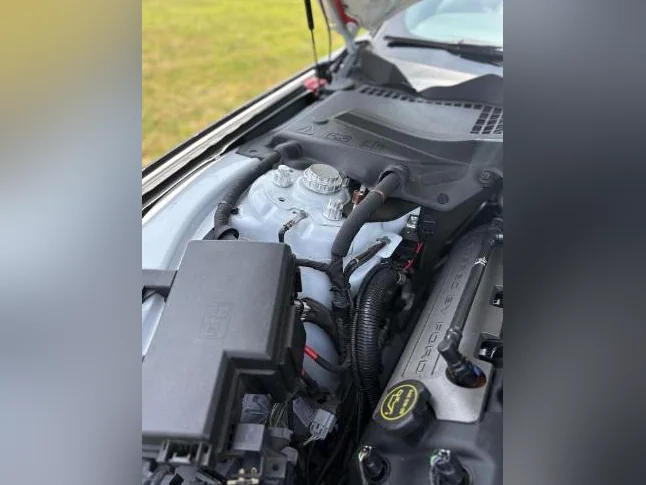Mustang GT premium equivalent à GT 350 thumbnail 3