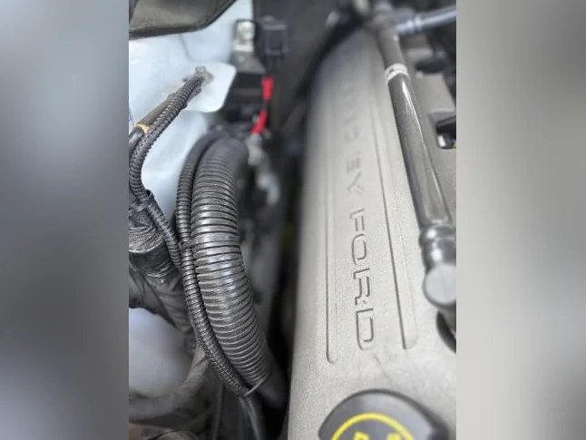 Mustang GT premium equivalent à GT 350 thumbnail 4