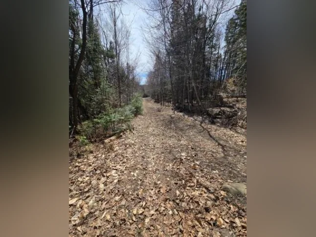 Terrains à vendre Ste-Adèle, Laurentides thumbnail 6