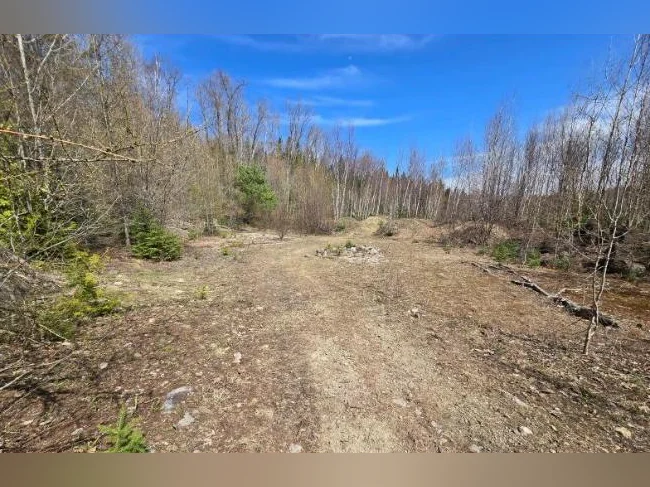 Terrains à vendre Ste-Adèle, Laurentides thumbnail 5
