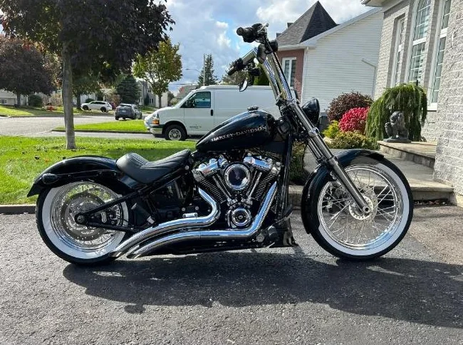 Harley davidson