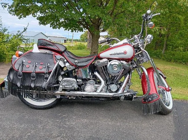 Harley davidson springer1998 thumbnail 5