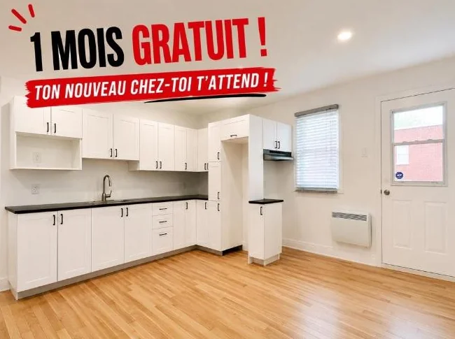 3.5 entièrement rénové dans Rosemont, 1er mois de loyer gratuit !!