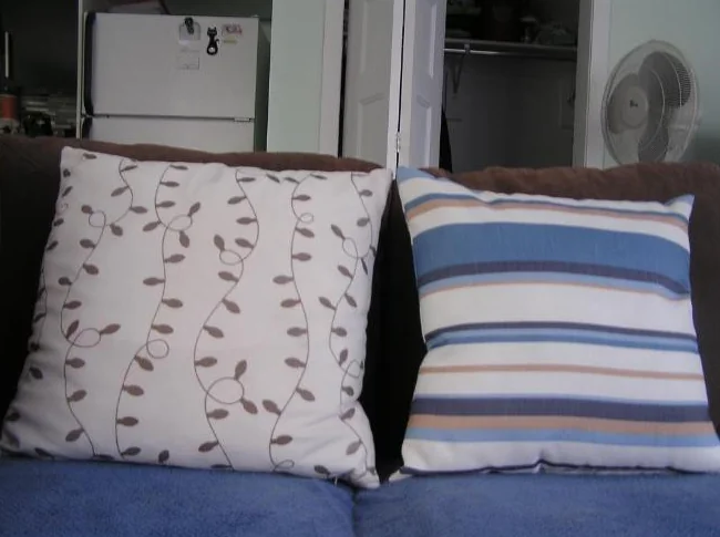 Coussins décoratifs (Decorative cushions)