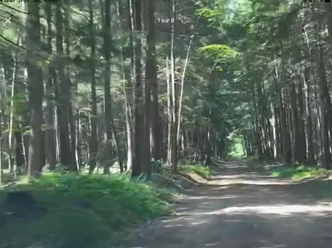Terre à bois thumbnail 2