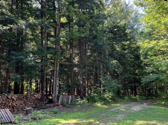 Terre à bois thumbnail 3