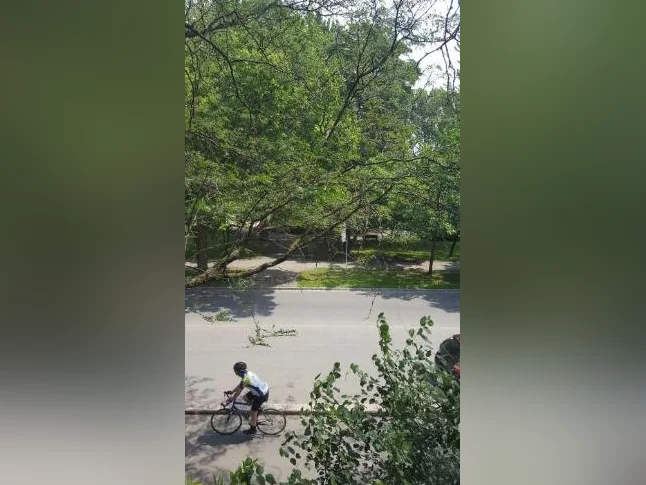 GRANDE CHAMBRE AVEC VUE SUR LE PARC LA FONTAINE thumbnail 3