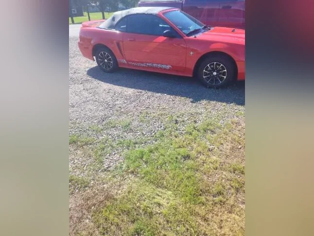 Mustang decapotable thumbnail 7