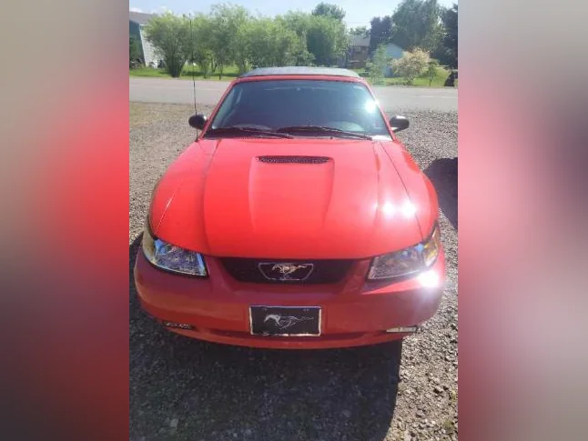 Mustang decapotable thumbnail 6