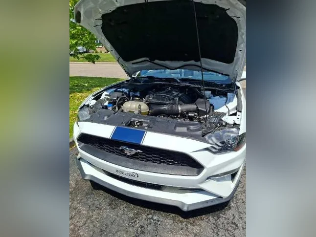 Ford Mustang 2023 thumbnail 4