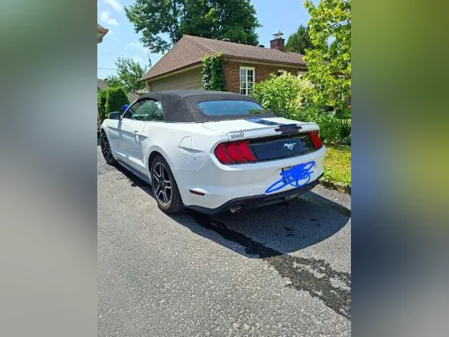 Ford Mustang 2023 thumbnail 3