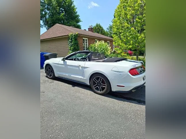 Ford Mustang 2023 thumbnail 6