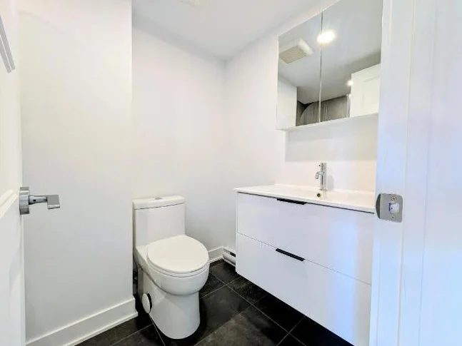 **Because You Deserve Renovated 4 1/2 TOP FLOOR, Metro Lasalle,Verdun** thumbnail 8