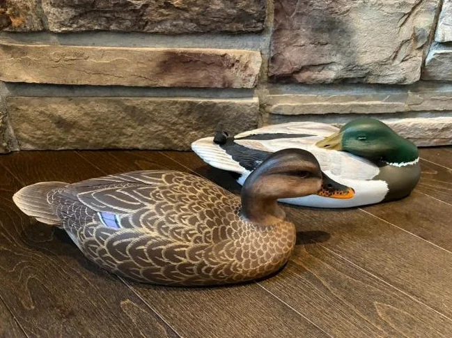 Canards - appelants - decoys