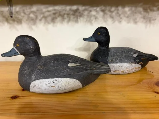 Canards - appelants - decoys thumbnail 5
