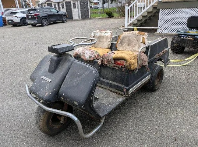 Golf cart Harley Davidson thumbnail 3