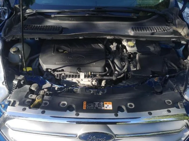 FORD ESCPAE 2019 thumbnail 5