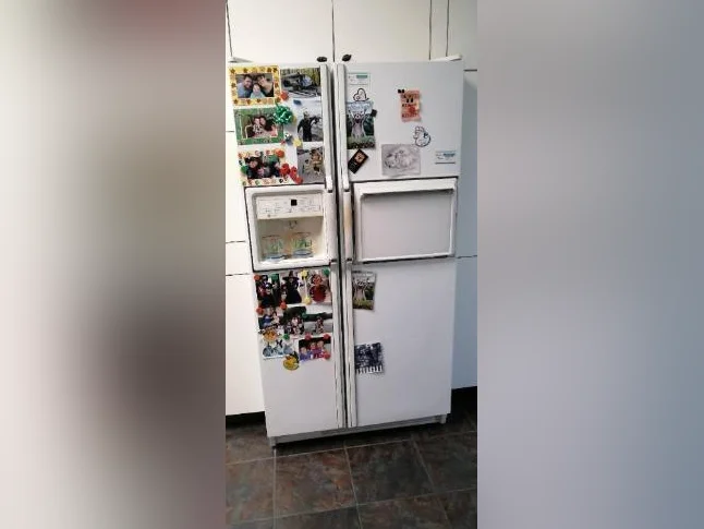 Frigo GE Profile 26.6 pieds cubes