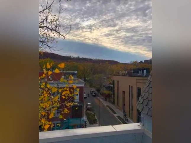Collocation dans magnifique appartement au pied du Mont-Royal thumbnail 2