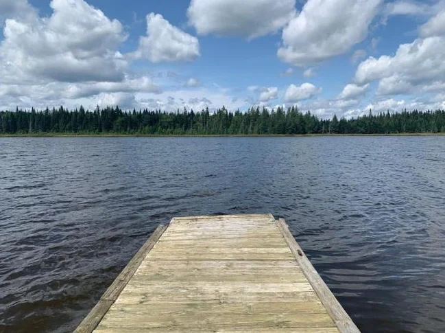 Petit chalet au bord d'un lac naturel tranquille ensemencé de truites thumbnail 4