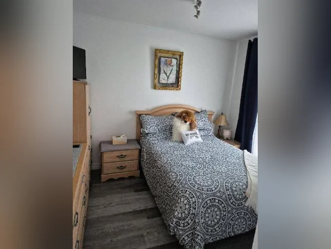 Maison a vendre par propriétaire (Agent s'abstenir) isolé pas de voisin un coin de paradis.          (  faut voir ) thumbnail 5