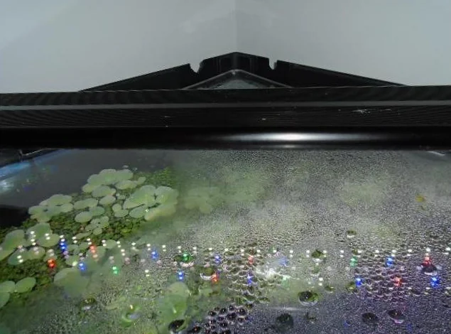 Aquarium en triangle. thumbnail 2