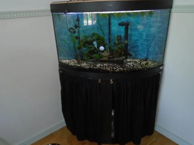 Aquarium en triangle.