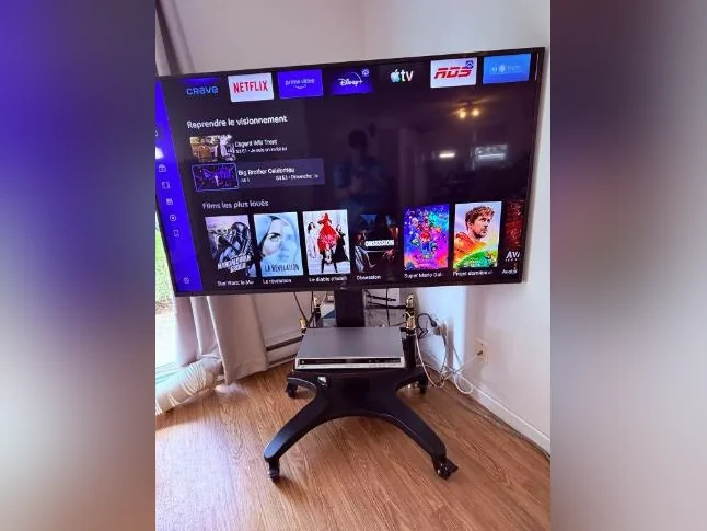TV LG 65’’-Smart TV avec Pied Ajustable- $600
