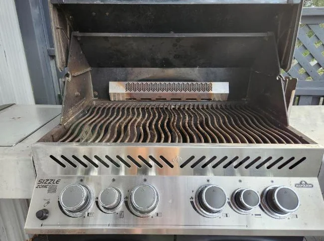 BBQ Napoléon prestige thumbnail 3