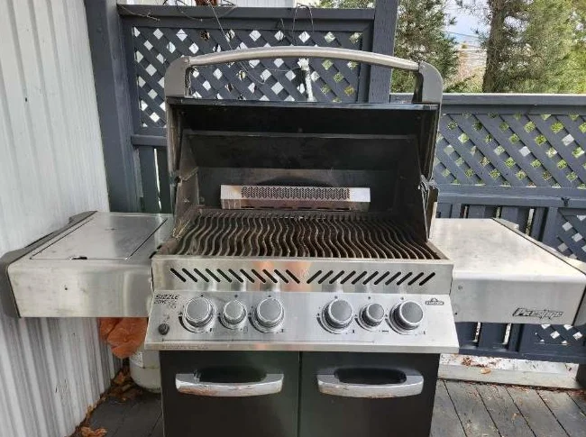 BBQ Napoléon prestige thumbnail 2