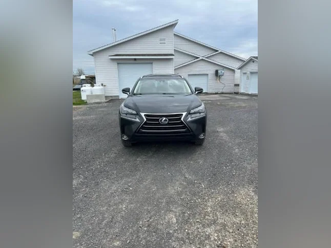 Lexus NX300h thumbnail 2