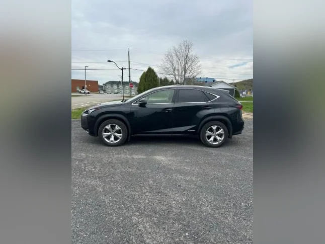 Lexus NX300h