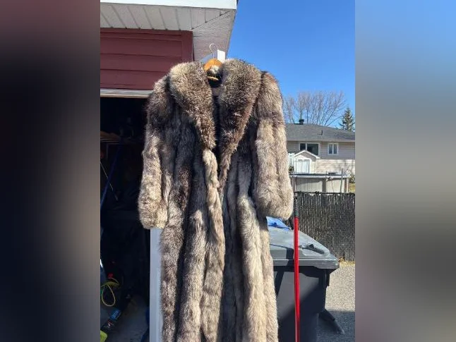 Manteau de fourrure, renard, norvégien