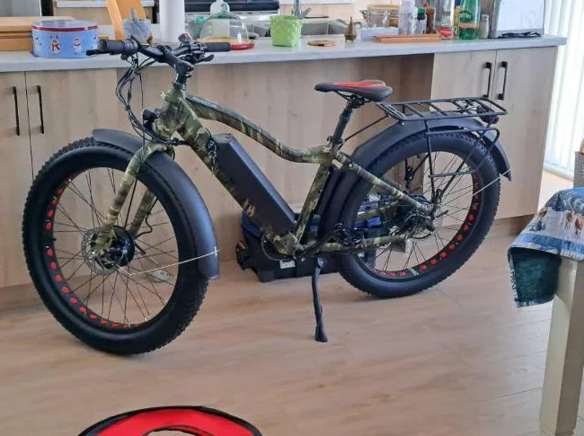 Bicyclette électrique à vendre