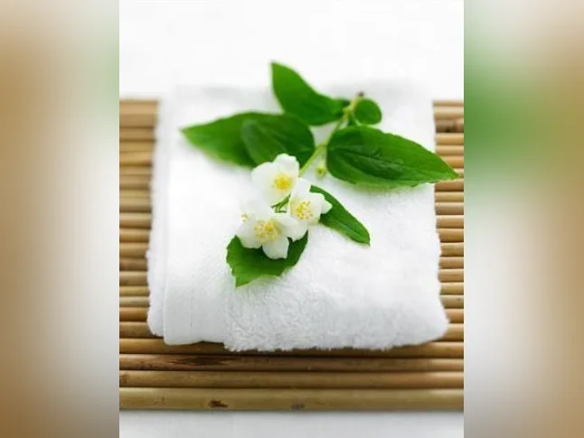 MASSAGE / MASSOTHÉRAPIE