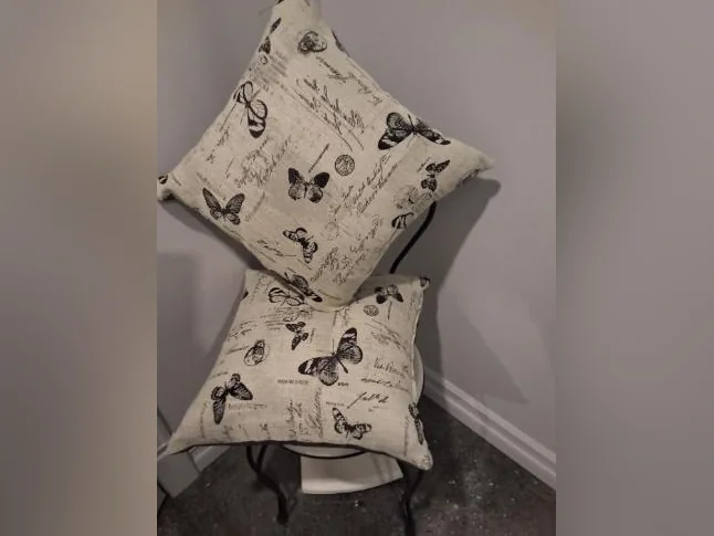 Deux très beaux coussins neufs