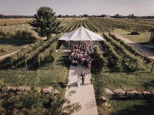 Photographe & Vidéaste de Mariage de Luxe thumbnail 10
