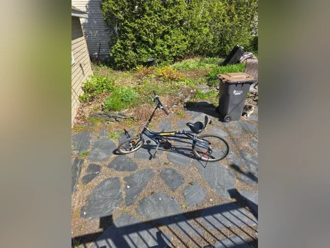 Bicycle allongé thumbnail 4