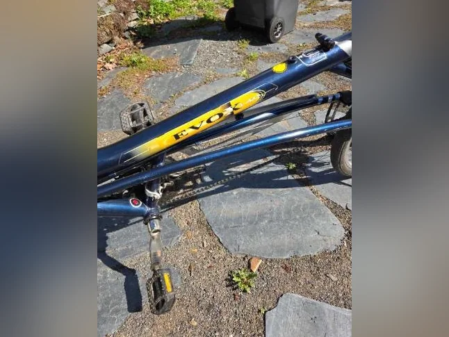 Bicycle allongé thumbnail 2