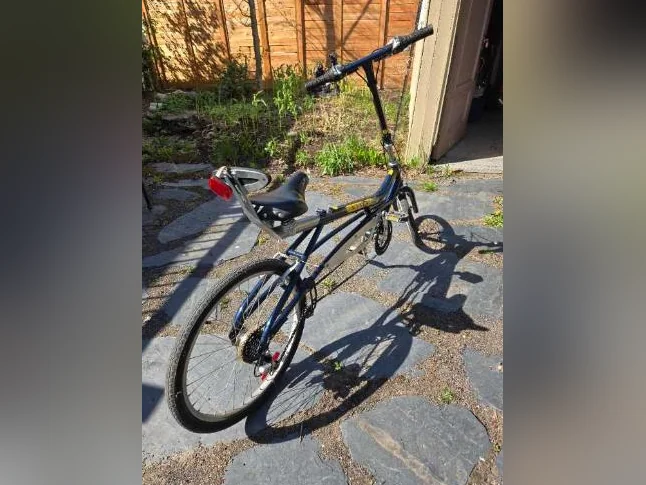Bicycle allongé thumbnail 3